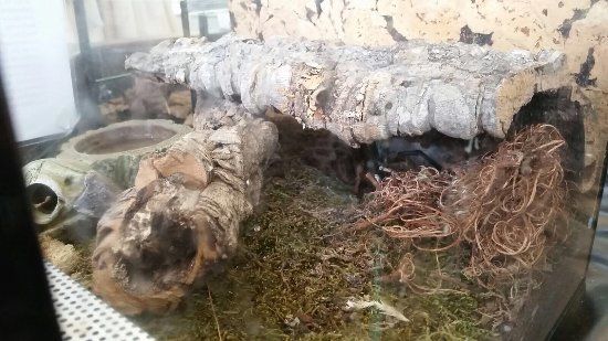 Kindermuseum Nürnberg